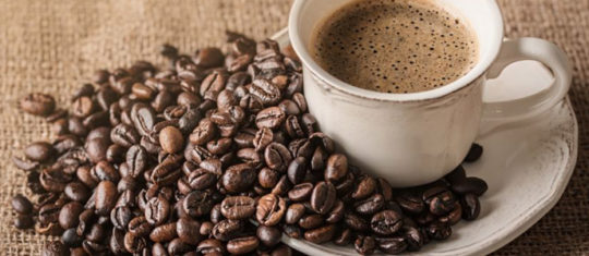 café bio en grains