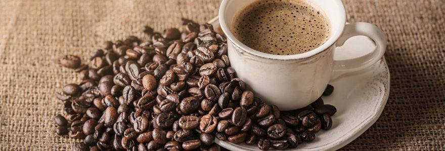 café bio en grains
